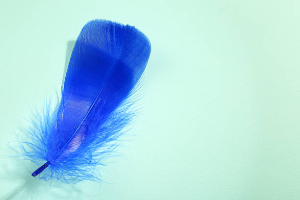 Abstract blue light creating a blurred, futuristic background with dynamic streaks