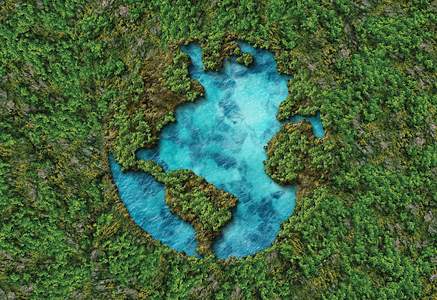 istock Green World Map- 3D tree or forest shape of world map isolated on white background. 2235931015