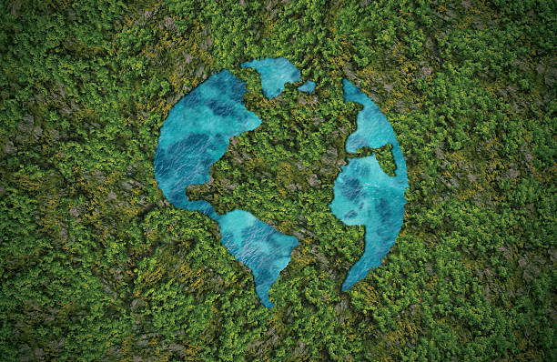istock Green World Map- 3D tree or forest shape of world map isolated on white background. 2235931033