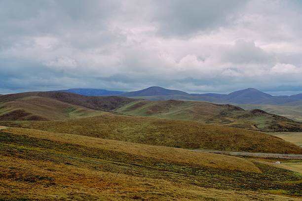 Captivate your audience with this tranquil image of undulating green hills stretching into the distance, featuring a winding road in the foreground under a dramatic cloudy sky with hints of blue. The vast, open grassland evokes peace and exploration, ideal for travel promotions, nature documentaries, environmental campaigns, outdoor adventure visuals, or inspirational designs showcasing rural beauty and serene wilderness!