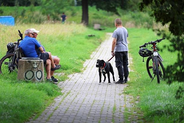Gdansk, Poland - August 07, 2025: People with a dog and bicycles in a park