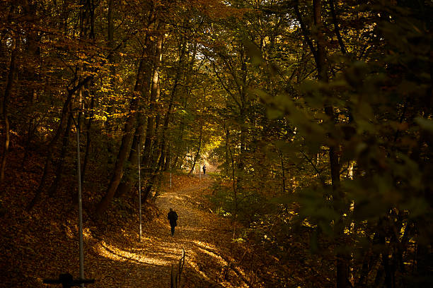 Two people walking on a leaf-covered path in a serene forest during autumn in the late afternoon