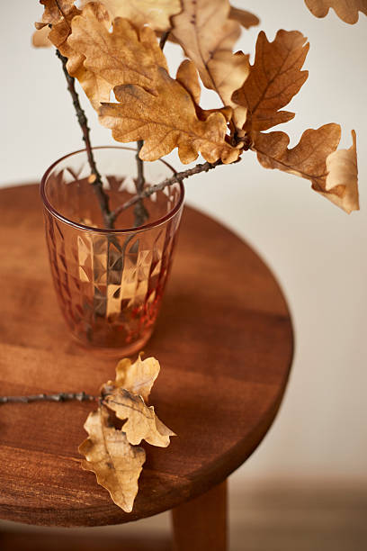 Dried oak branches elegantly arranged in a glass on a wooden stool in a minimalist interior setting