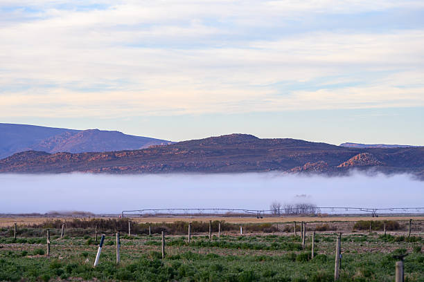 A serene rural landscape featuring green grasslands, low-lying fog, and rugged mountains under a soft blue sky. The scene showcases the beauty of nature's tranquility, highlighting the contrast between the lush fields and the distant mountains enveloped in mist.