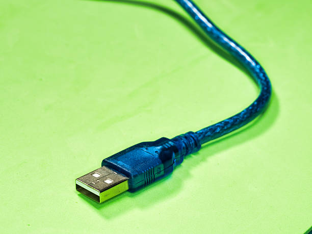 Collection of USB cables in various states of wear, arrayed against a white backdrop, perfect for tech and repair themes.