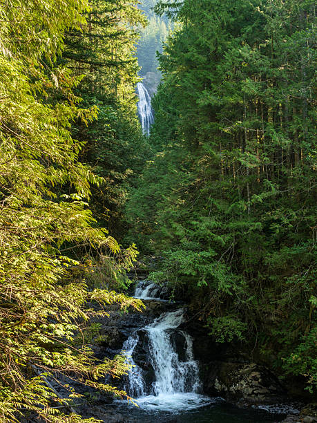istock Lower and Middle Falls in Wallace Falls State Park in Washington 2235939888