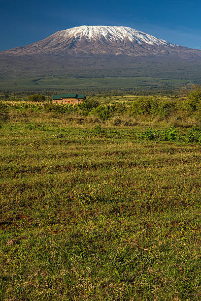 istock Mount Kilimanjaro – Snow-Capped Peak 2235943279