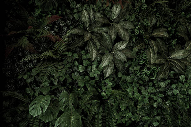 istock Green tropical natural leaves background image 2235946608