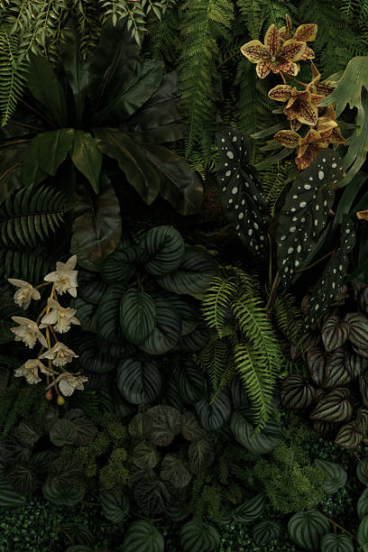 istock Green tropical natural leaves background image 2235946610