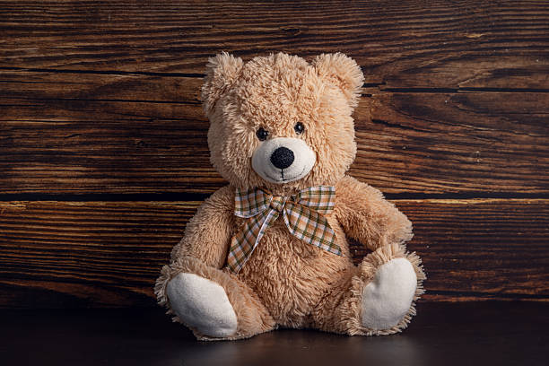 istock Vermont vintage teddy bear plush kids toy 2235948076