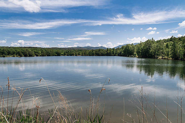istock Lake with a few trees in the background 2235950912