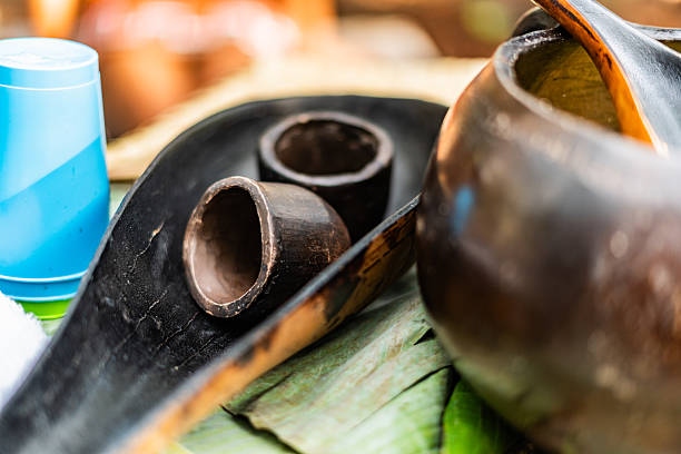 This is a bottle gourd, also known as calabash, a plant from the gourd family. It is used both as a vegetable when young and as a container when mature and dried.