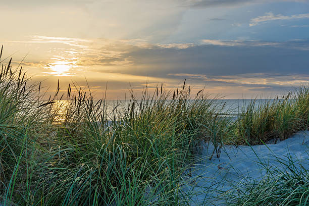istock Beautiful sunset behind grass-covered dunes by the sea 2235951909