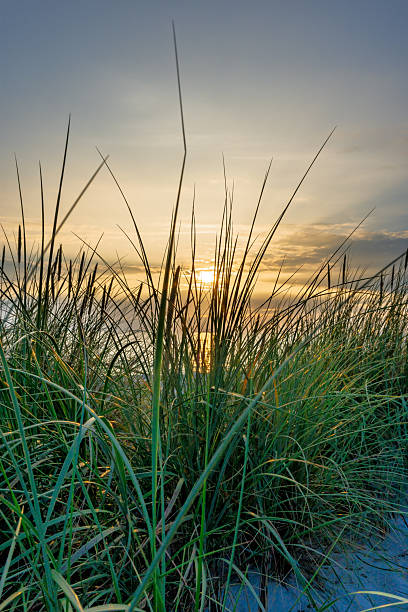 istock Beautiful sunset behind grass-covered dunes by the sea 2235951918