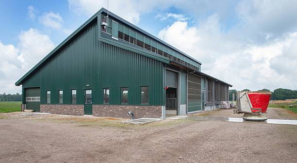 istock Fully automated feeding system at a dairy farm in The Netherlands 2235953785