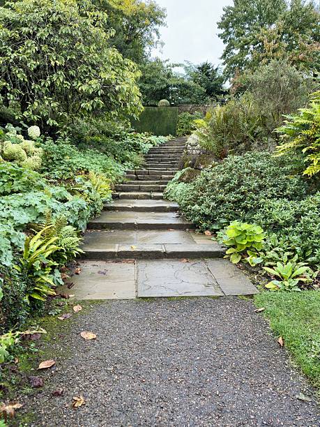 istock Stone garden steps lead upward through lush greenery and vibrant plants, creating a peaceful, natural path. A moss-covered wall adds rustic charm to this serene outdoor landscape scene. 2235955628