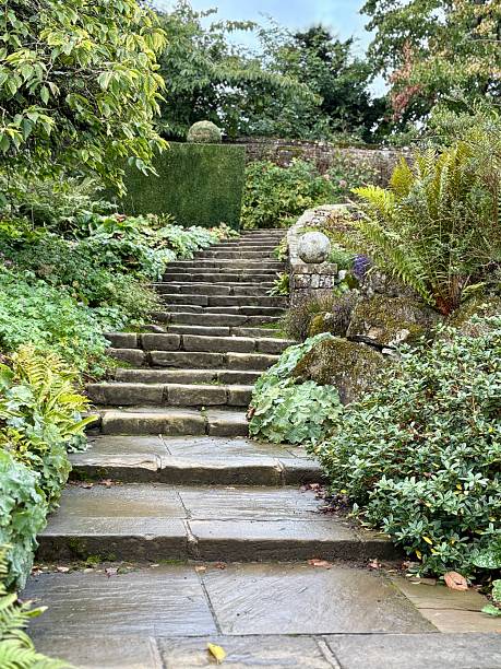 istock Stone garden steps lead upward through lush greenery and vibrant plants, creating a peaceful, natural path. A moss-covered wall adds rustic charm to this serene outdoor landscape scene. 2235955694