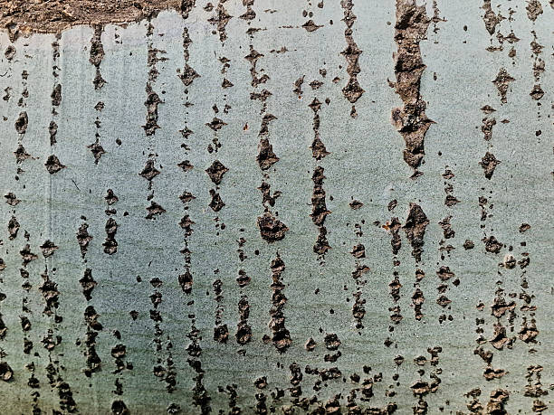 istock Texture of old tree bark. Abstract background and texture for design. 2235956033