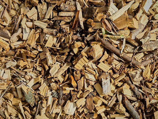 istock close-up of a tree cross-section 2235956115