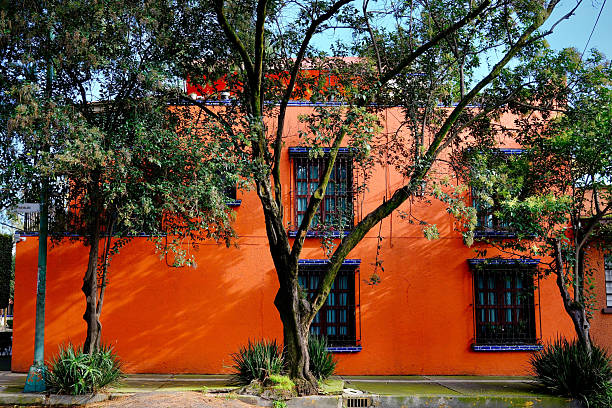 Bright Orange Building With Dramatic Trees (Mexico City, CDMX, Mexico) stock photo