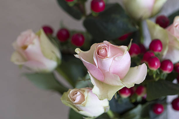 roses flowers showing their textures, patterns and details in a flower pot photographed with natural light