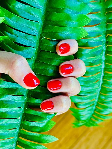 A person’s had is holding a green plant. And the nails are colored red. Some creative ideas. Located in Corona, California.