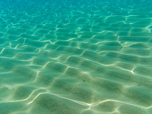 istock Clear underwater view of sandy seabed with sunlight reflections 2235961601