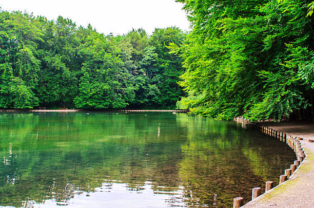 istock Tranquil pond with forested shoreline and reflections on calm water 2235966243