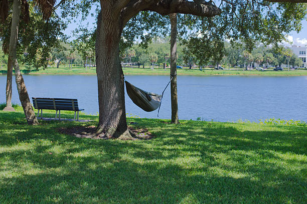 beach sunset hammock deck chair sun river nature