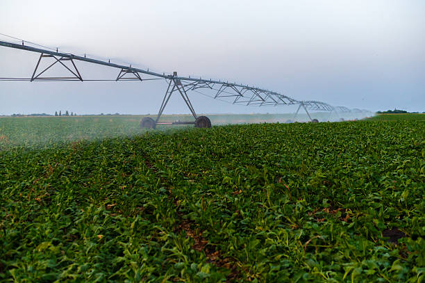 istock Agricultural irrigation system watering agricultural fields 2235970106