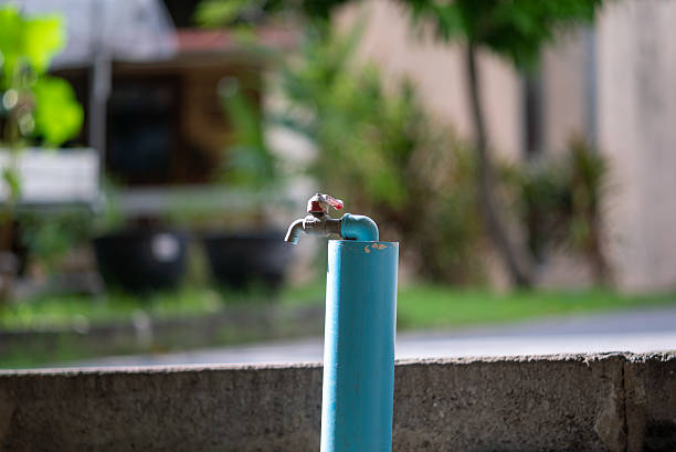 A close-up image of a blue water faucet standing against a concrete background, surrounded by greenery, symbolizing utility and freshness in outdoor spaces.