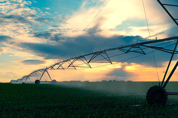 istock Agricultural irrigation system watering agricultural fields 2235973467