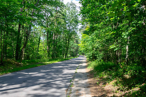istock asphalt road through the green forest 2235975374