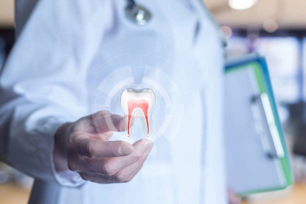 istock Dentist holding 3D tooth model in a modern clinic. 2235975479
