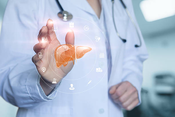 istock Healthcare professional interacting with digital liver model. 2235975555