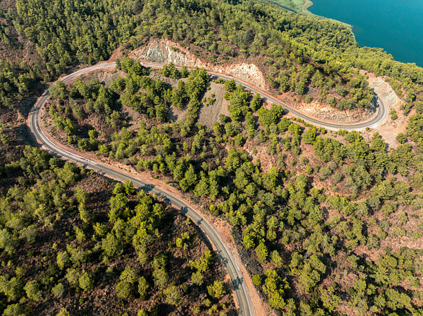 istock Aerial view on green pine forest 2235975989