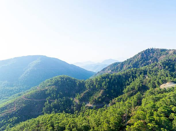 istock Aerial view on green pine forest 2235975991