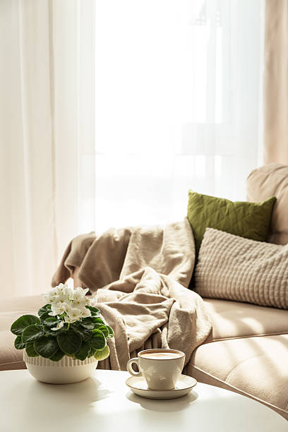 istock Cozy Living Room with Coffee and African Violet on Table 2235976191