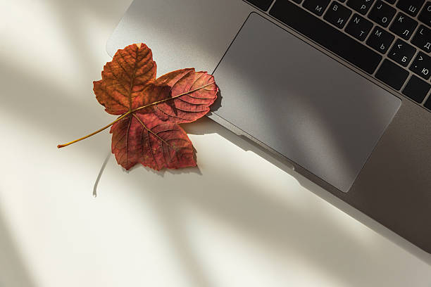 istock Workspace with Laptop and Autumn Leaves under Sun light 2235976210