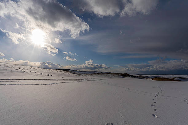 Tottori Sand Dunes covered in snow