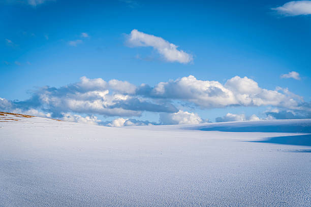 istock Tottori sand dunes in snow 2235976252