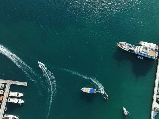 A crowded marina on a summer day