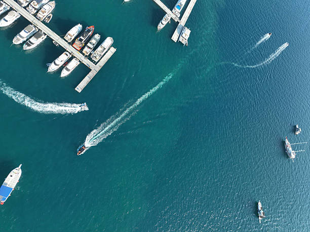 A crowded marina on a summer day