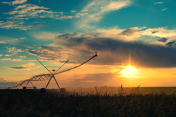 istock Agricultural irrigation system watering agricultural fields 2235976380