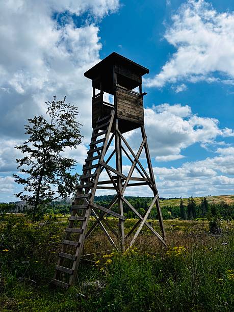 Hochsitz in einem Landschafts-Schutzgebiet im Siegerland im Sommer