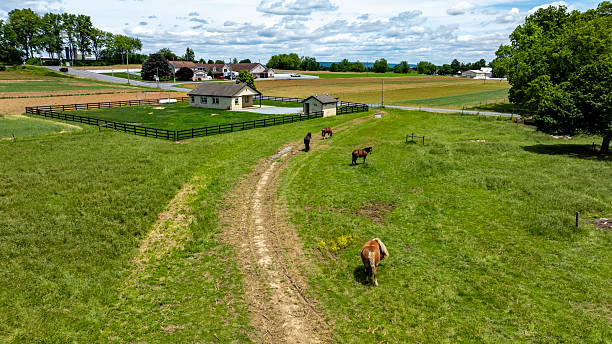 istock Horses Grazing Peacefully on a Farm Surrounded by Lush Fields and Distant Hills 2235979946
