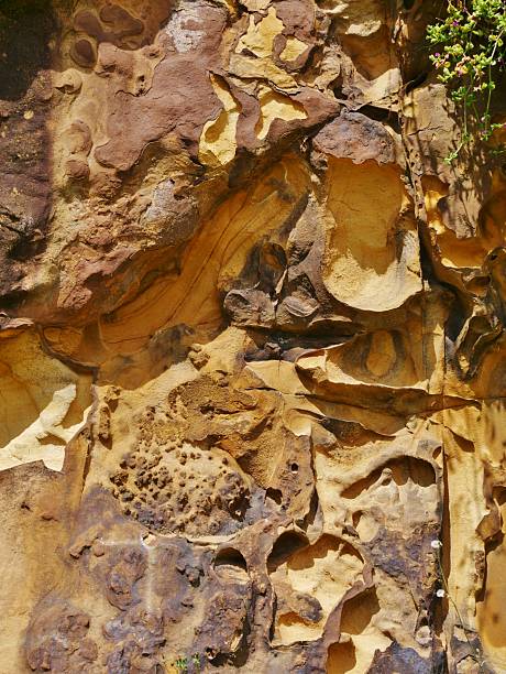 nature with yellow sandstone