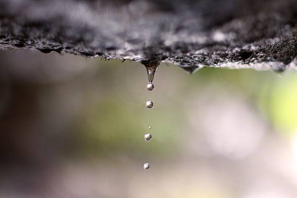 A nice drip from a cave ceiling.