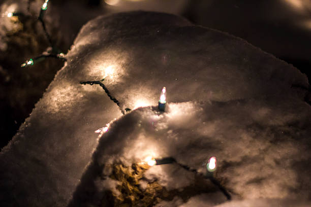 Depth of field shot of Christmas lights buried in snow.