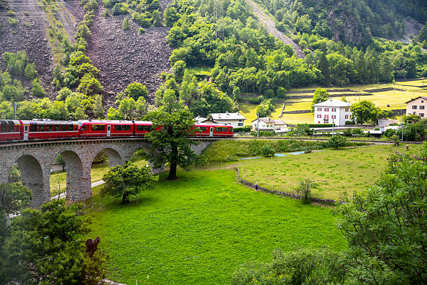Red express train on a bridge in green Alps